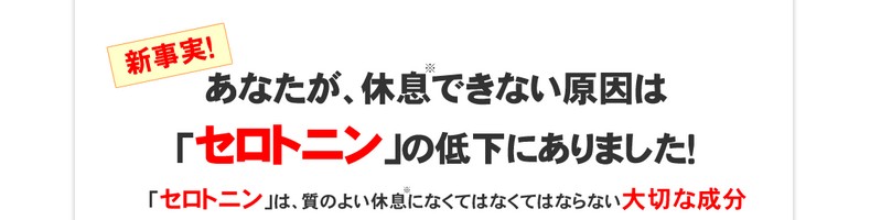 �}�C���h�K�[�hDX���T�C�g